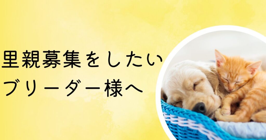 ハンデ犬　里親募集